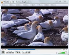VLC Media Playe正在播放Windows7默认视频